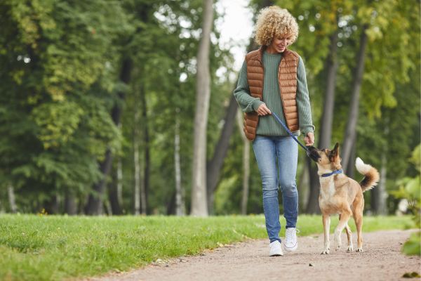 Lo Que Joe Dispenza Predijo Para Los Dueños de Perros: Un Vínculo Más Allá de lo Físico