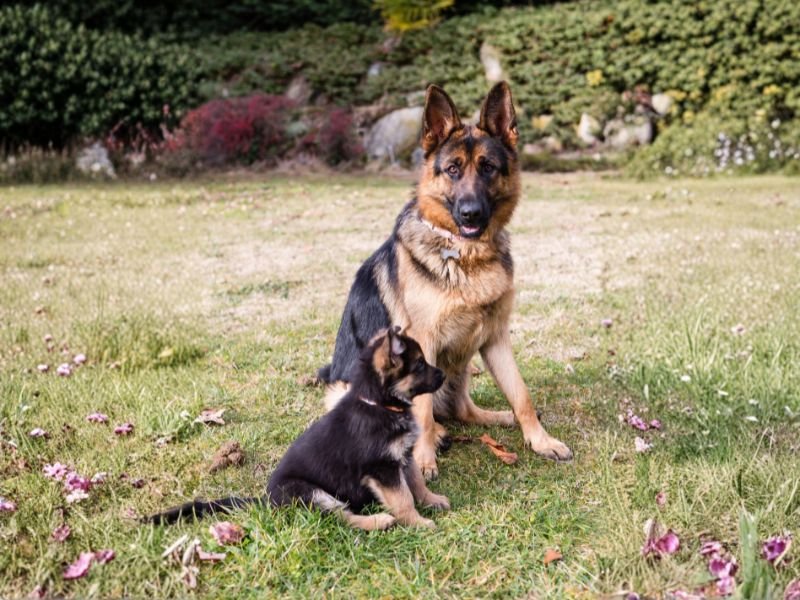 Can Habilis abre un nuevo espacio